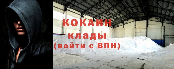 ПСИЛОЦИБИНОВЫЕ ГРИБЫ Абаза
