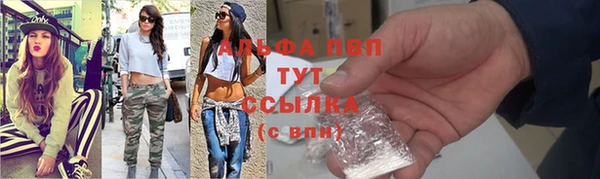 ПСИЛОЦИБИНОВЫЕ ГРИБЫ Абаза