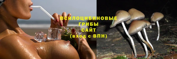 гидра Абдулино