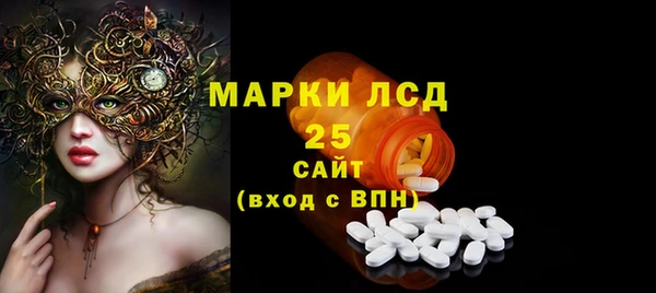 ПСИЛОЦИБИНОВЫЕ ГРИБЫ Абаза