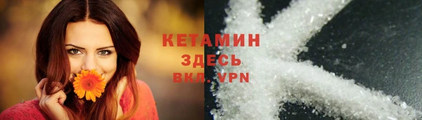 сатива Гусев