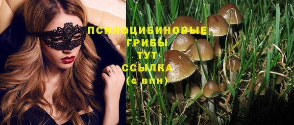 ПСИЛОЦИБИНОВЫЕ ГРИБЫ Абаза