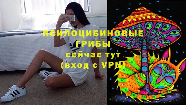гидра Абдулино