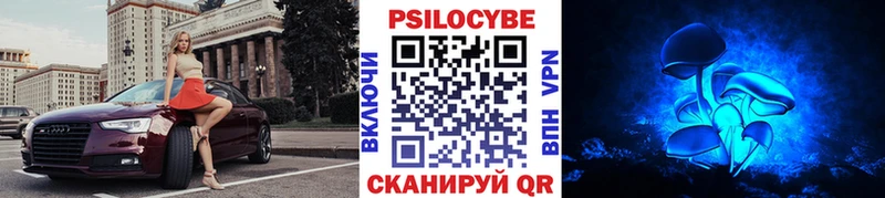 Псилоцибиновые грибы мицелий  даркнет сайт  Зеленогорск 