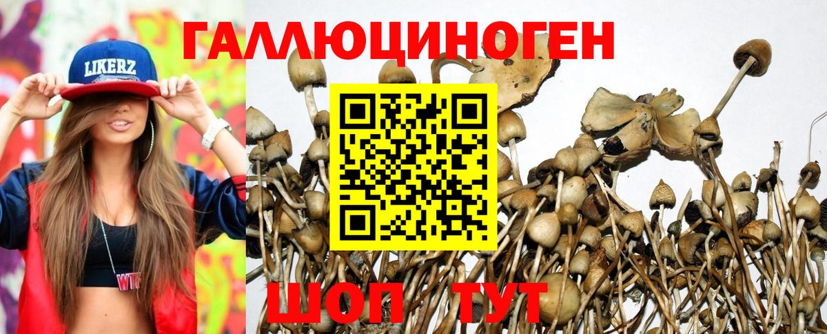 АМФЕТАМИН Зеленогорск